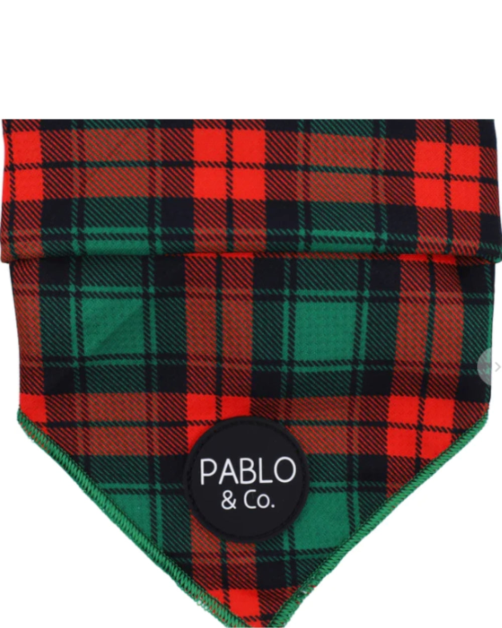 Pablo and Co Winston Plaid- Dog Bandana
