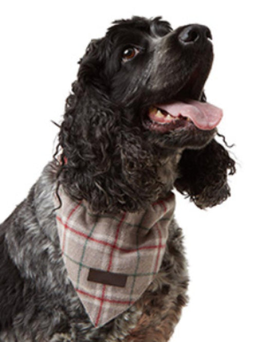 Wainwright's Luxury Winter Check Squared Dog Bandana