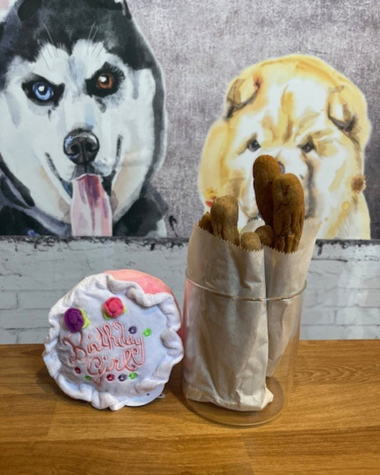 Baked Dog Treats Parmesan Churros