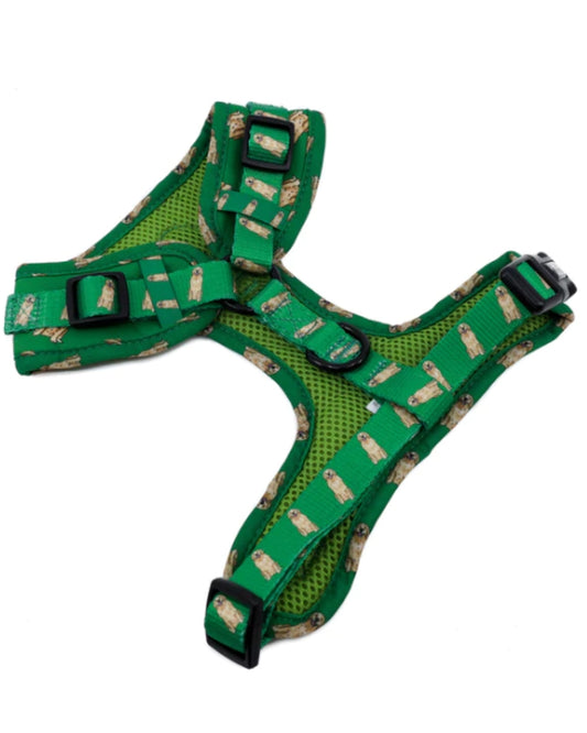 Pablo and Co Golden Retriever Adjustable Dog Harness