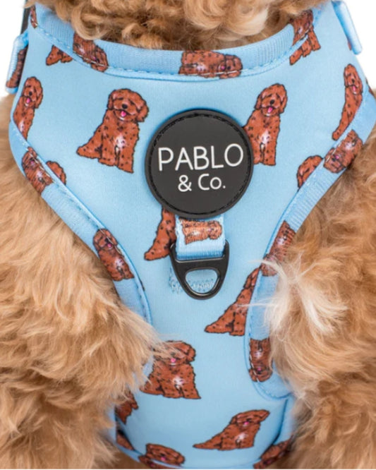 Pablo and Co Cavoodle Adjustable Dog Harness