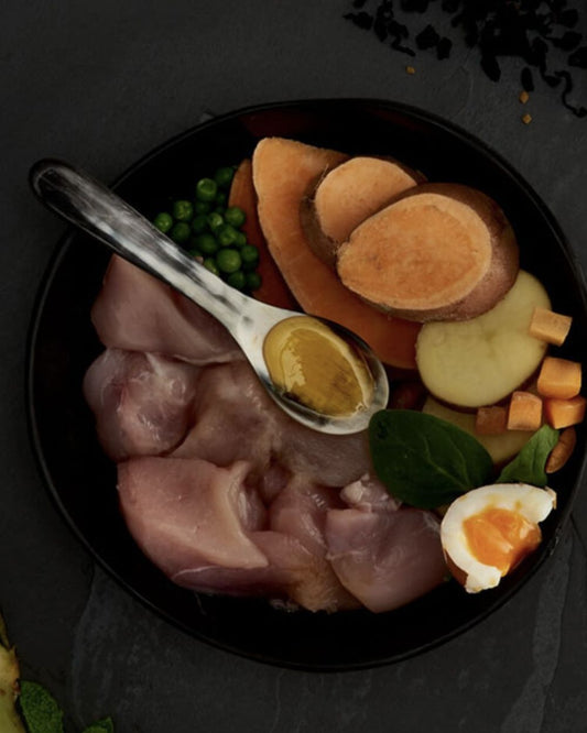 Canagan Dog Food Free Range Chicken