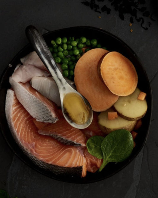 Canagan Dog Food Salmon