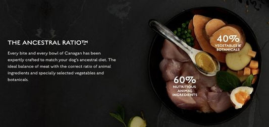 Canagan Dry Grain Free Dog Food