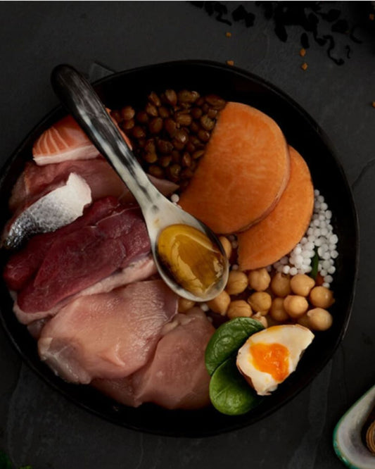 Canagan Dog Food Highland Feast