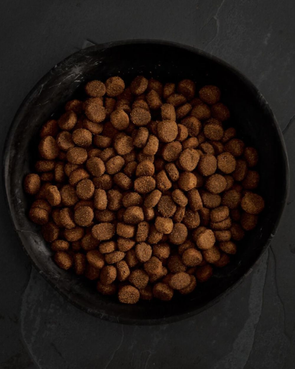 Canagan Grain Free Dog Food