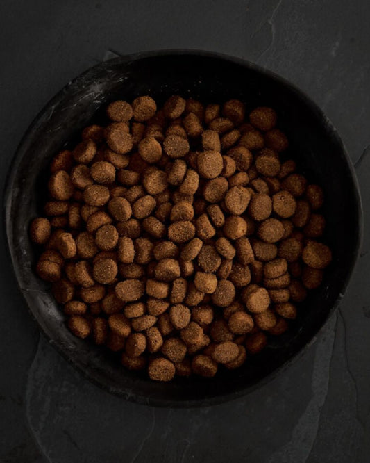 Canagan Grain Free Dog Food