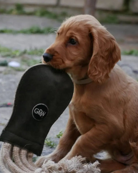 Olive the Octopus, Eco dog toy - Green and Wilds