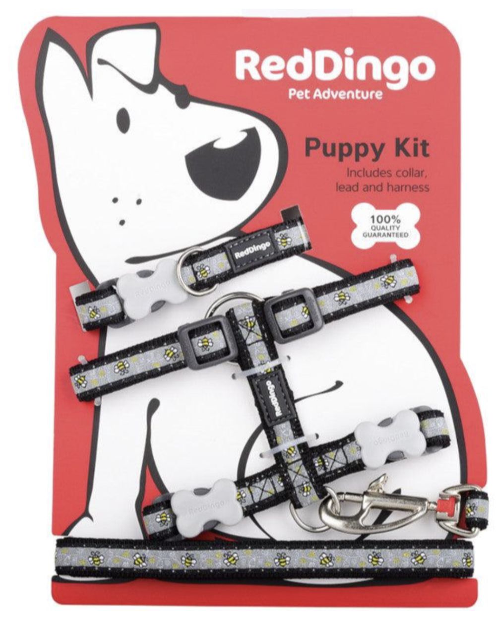 Red Dingo Puppy Kit Collar, Lead and Harness Set - Bumblebee Black One Size