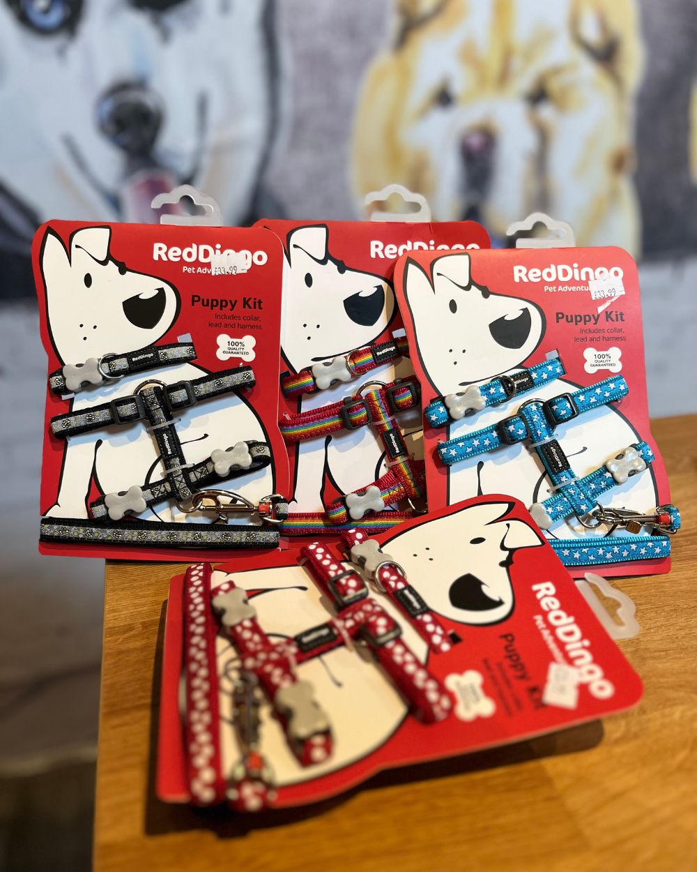 Red Dingo Puppy Kit Collar, Lead and Harness Set - Spots Red One Size