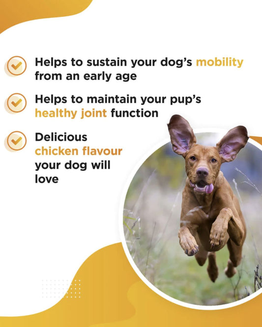 Mobi Dog Supplement