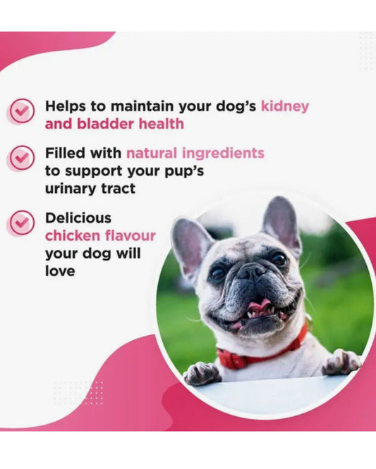 BERRI – Bladder & Kidney Cranberry Support for Dogs