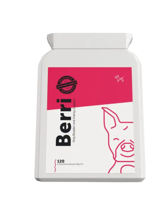 BERRI – Bladder & Kidney Cranberry Support for Dogs