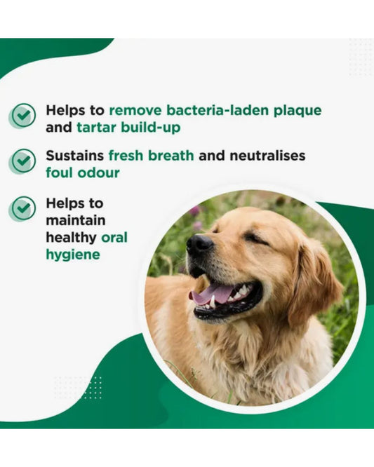 CHOMPER – Organic Tartar & Plaque Remover for Dogs & Puppies