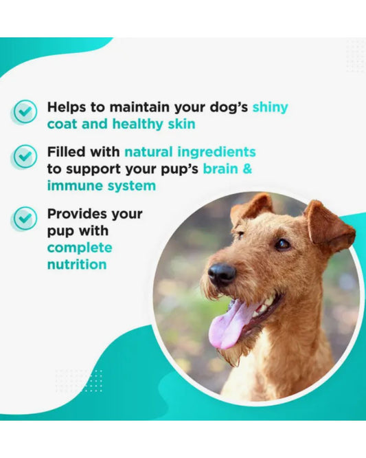 OMEGA – Omega 3, 6, 9 Fish Oil Complex for Dogs and Puppies