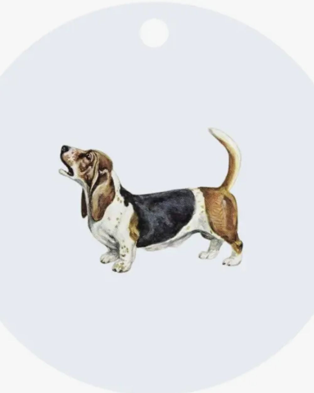 Ollie & Co Dog Products