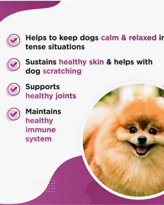 KALMI – Organic Hemp Seed Oil for Stressed & Anxious Dogs