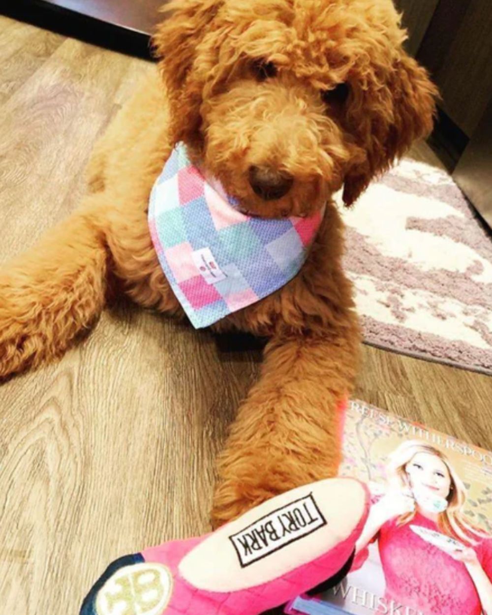 Tory Bark Shoe Squeaker Plush Dog Toy Haute Diggity Dog