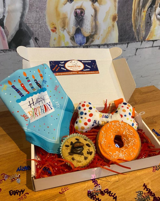 Tongues and Tails Small Celebration Dog Box