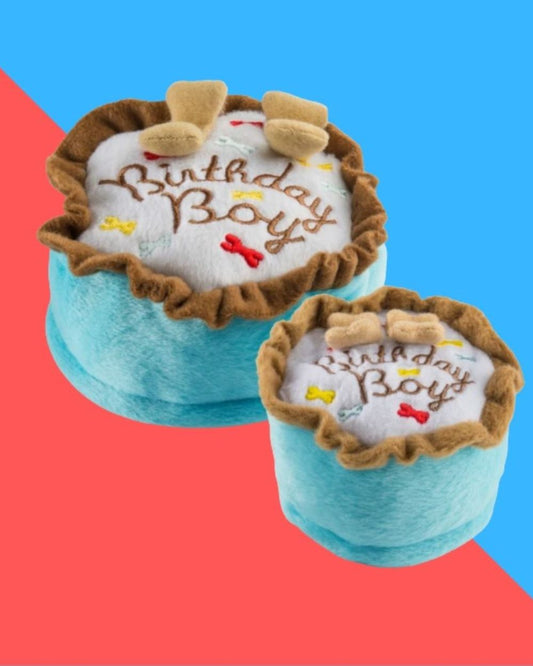 Birthday Boy Toy Squeaker Plush Dog Toy Haute Diggity Dog