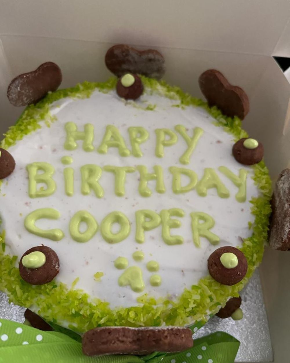 Rainbow Coconut Paradise Dog Cake