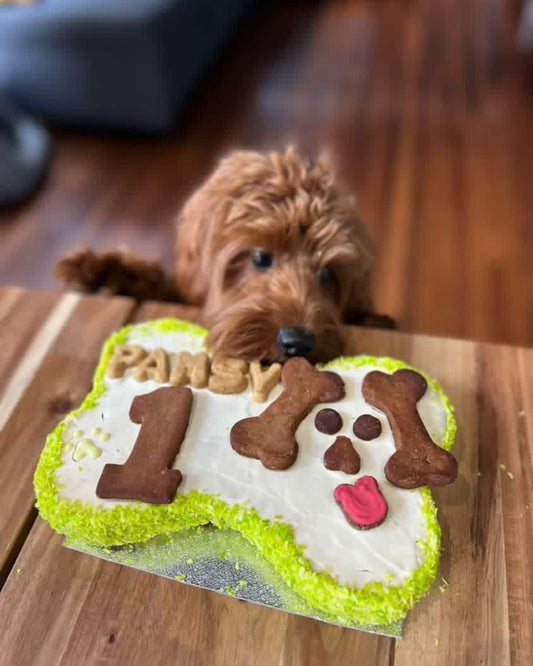 Rainbow Coconut Paradise Dog Cake Bone Shape