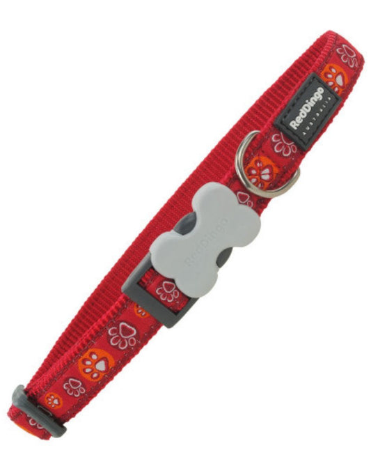 Red Dingo Bucklebone Dog Collar
