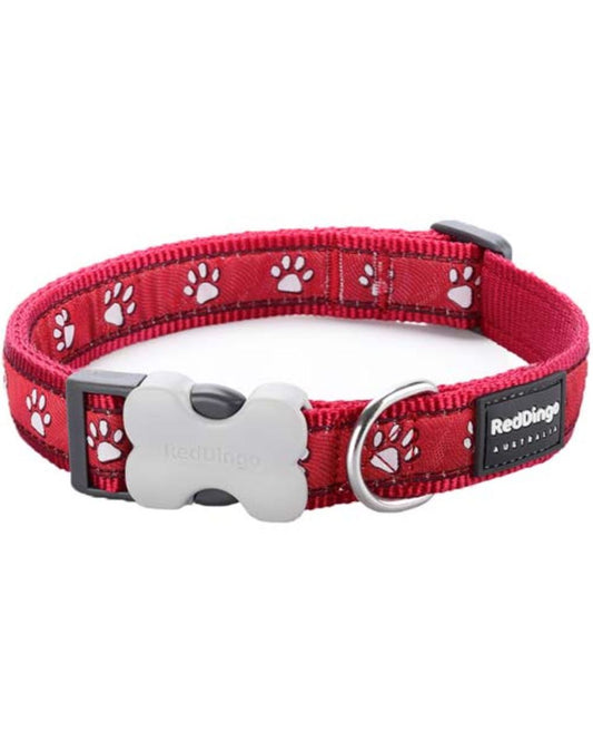 Red Dingo Bucklebone Dog Collar