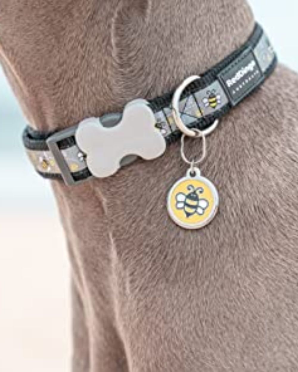 Red Dingo Bucklebone Dog Collar