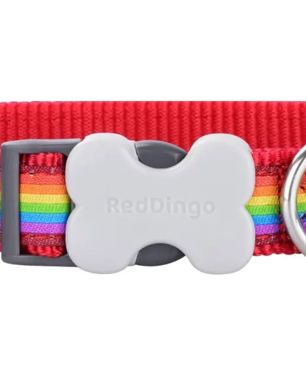 Red Dingo Bucklebone Dog Collar