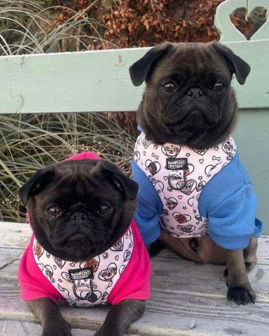 Dogs For Days Adjustable Dog Harness