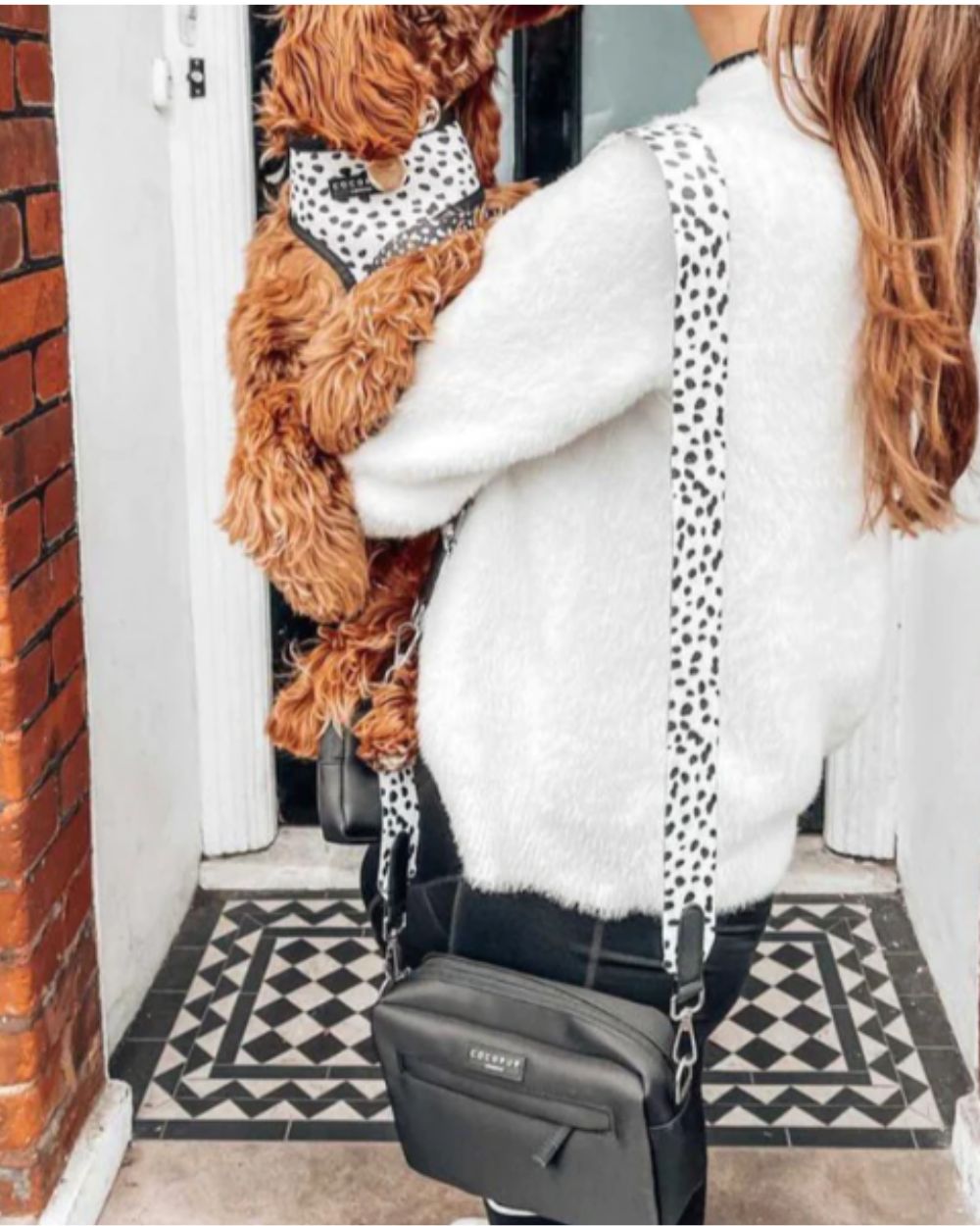 Cocopup London Dog Walking Bag