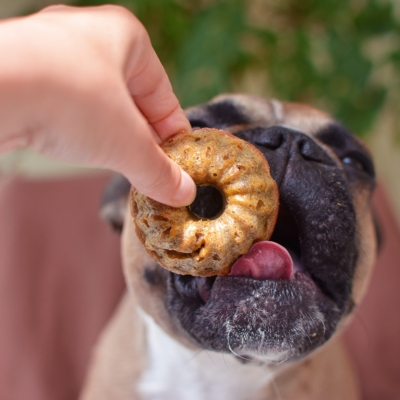 Dog Baked Treats