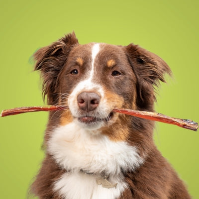 All natural dog treats