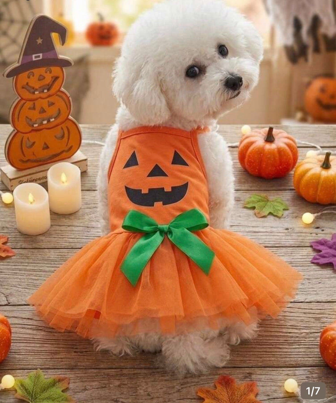 🎃 Halloween Pumpkin Dog Dress with Tutu & Green Satin Bow – Size S 🧡🐾