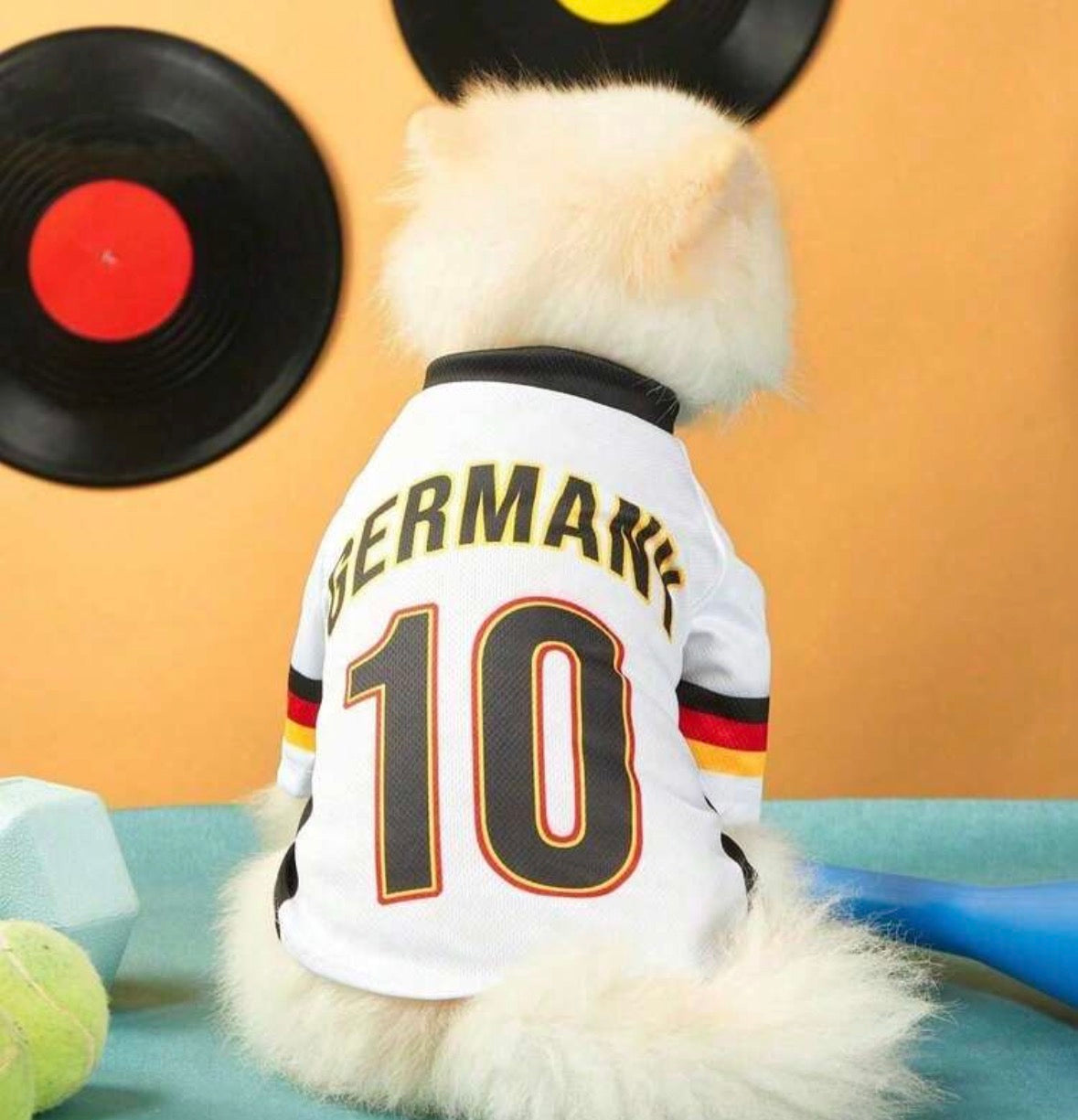 ⚽ World Cup Dog Clothing Collection – International Style for Your Dog pup