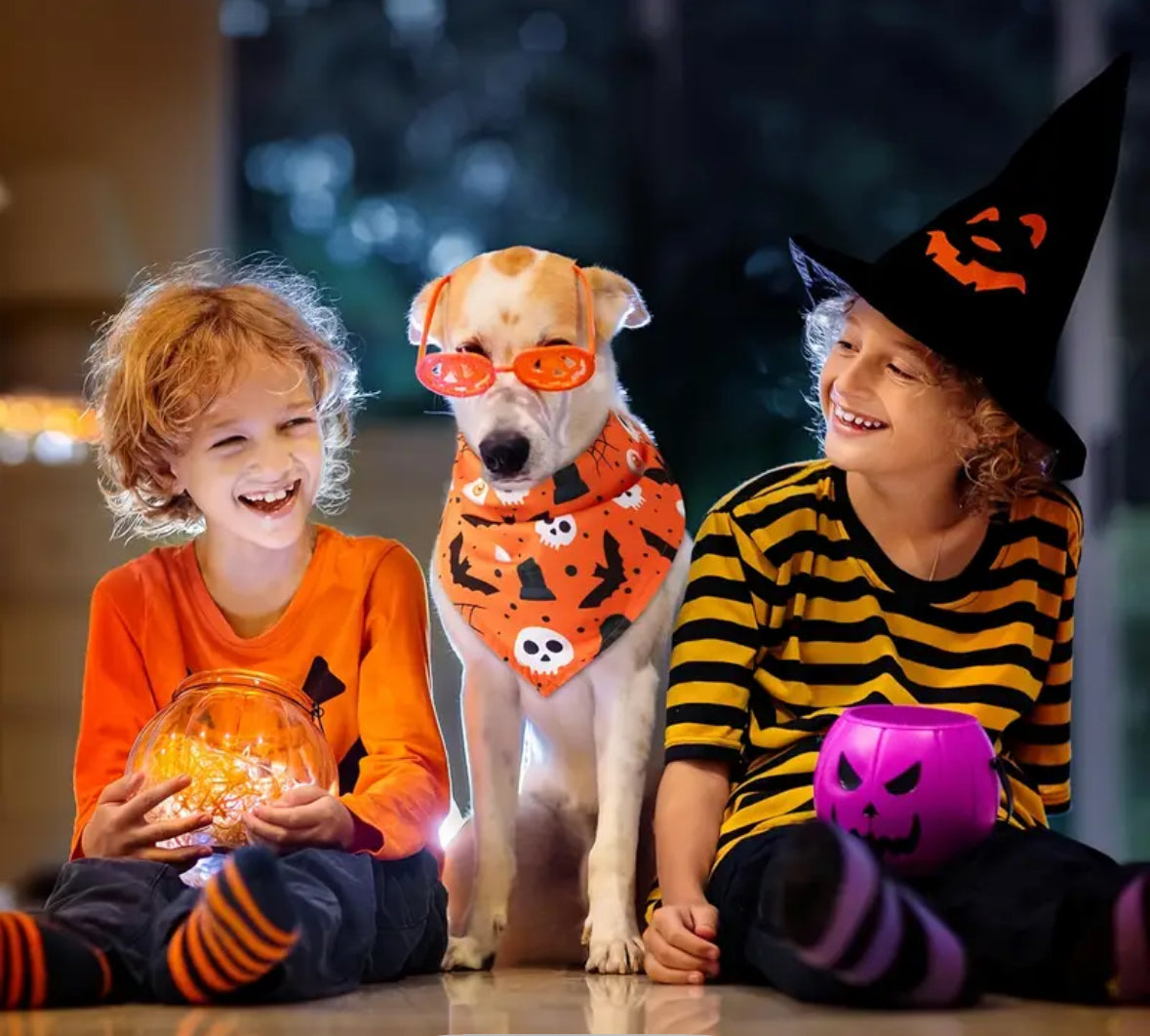 Halloween Bandana for Dog