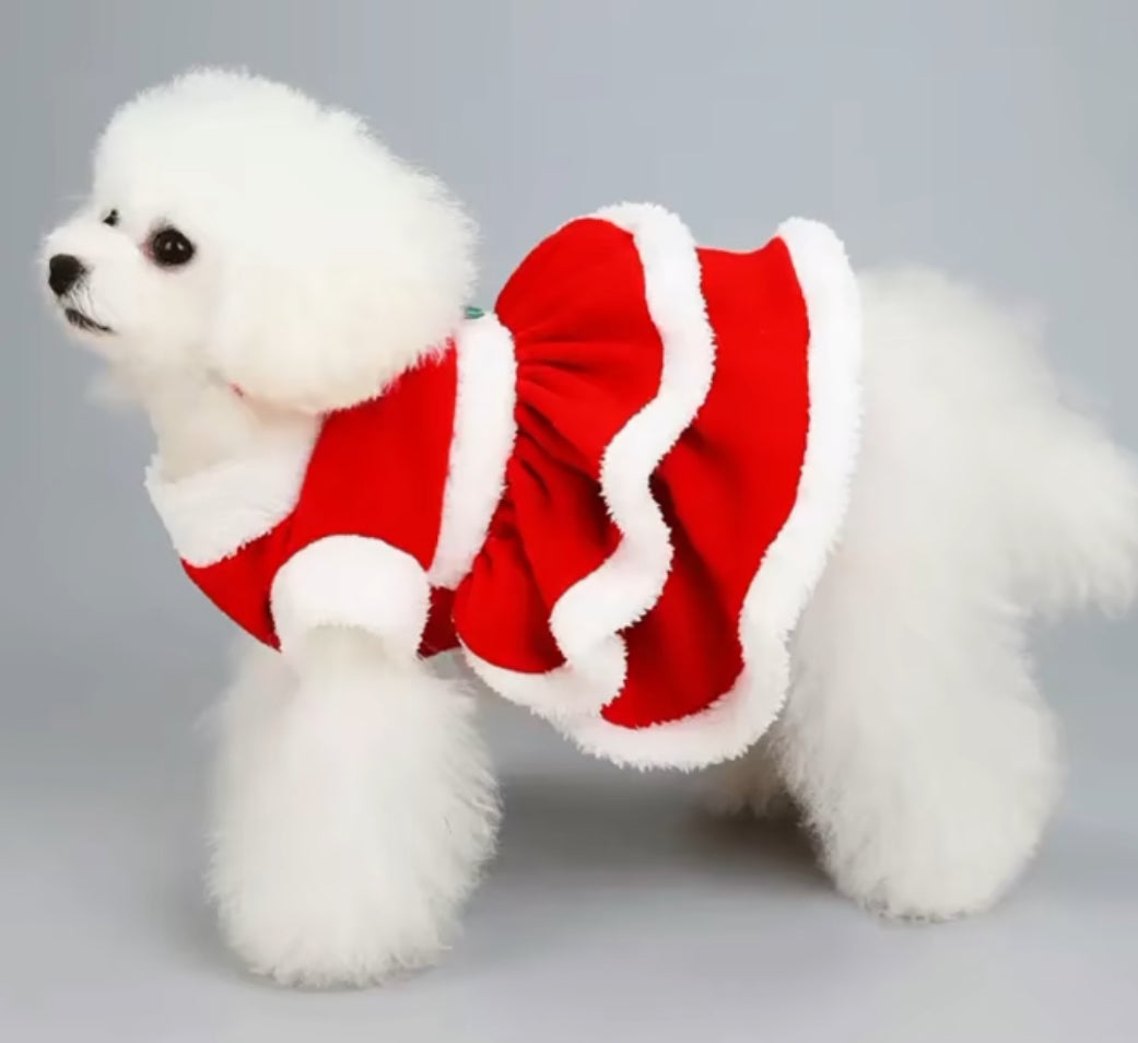 Christmas Dog Dresses Dog