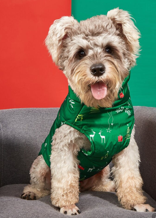 Jacket Christmas for dog