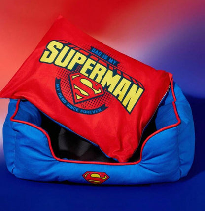 Superman™ Dog Bed – Large