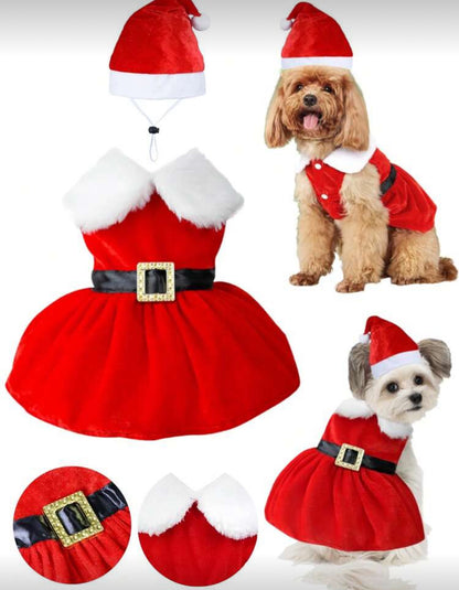 Christmas dress for Dog and Cat