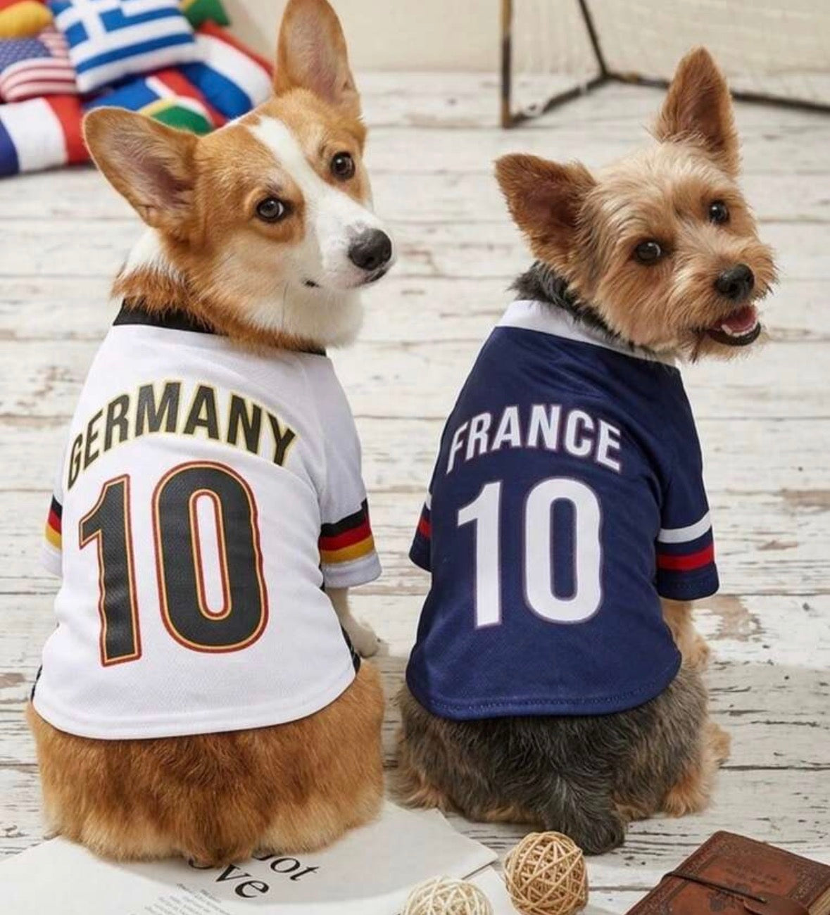 ⚽ World Cup Dog Clothing Collection – International Style for Your Dog pup