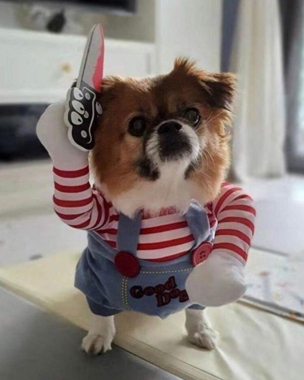 Dog Deadly Doll Pet Dog Costume Dog Halloween