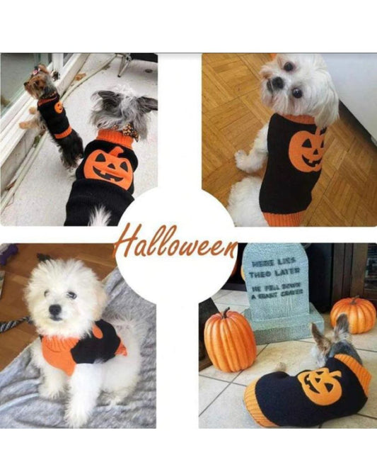 Dog Jumper Pumpkin Halloween Costume