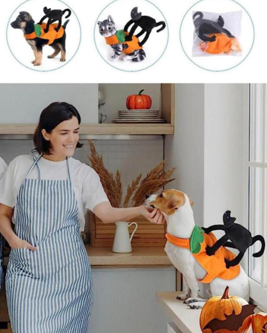 Dog and Cat Halloween Costumes With Cat Transformation on Top And Funny Pet Clothing Top
