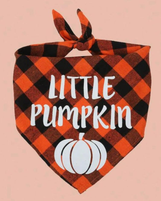 Halloween Little Pumpkin Dog Bandana