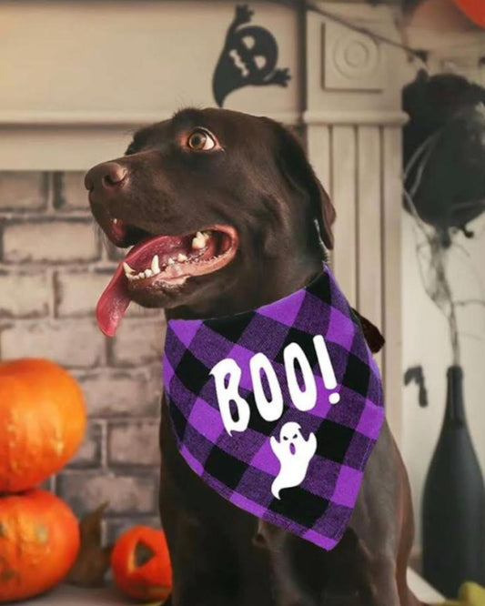Halloween Boo Ghost Dog Bandana