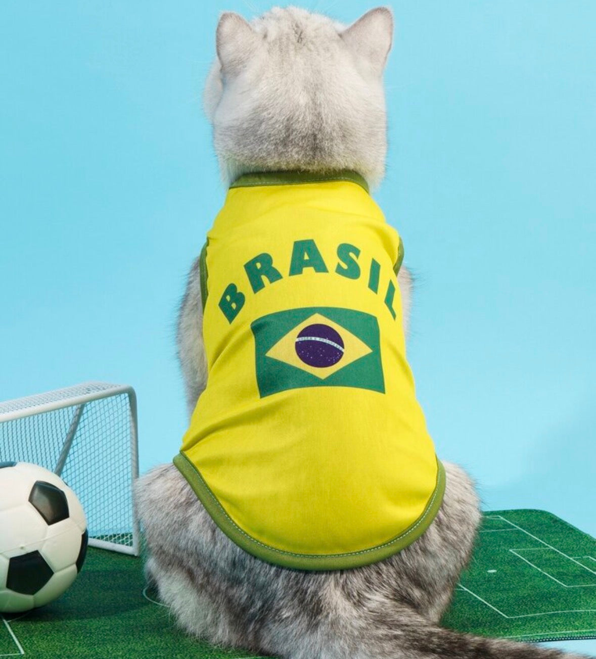 ⚽ World Cup Dog Clothing Collection – International Style for Your Dog pup