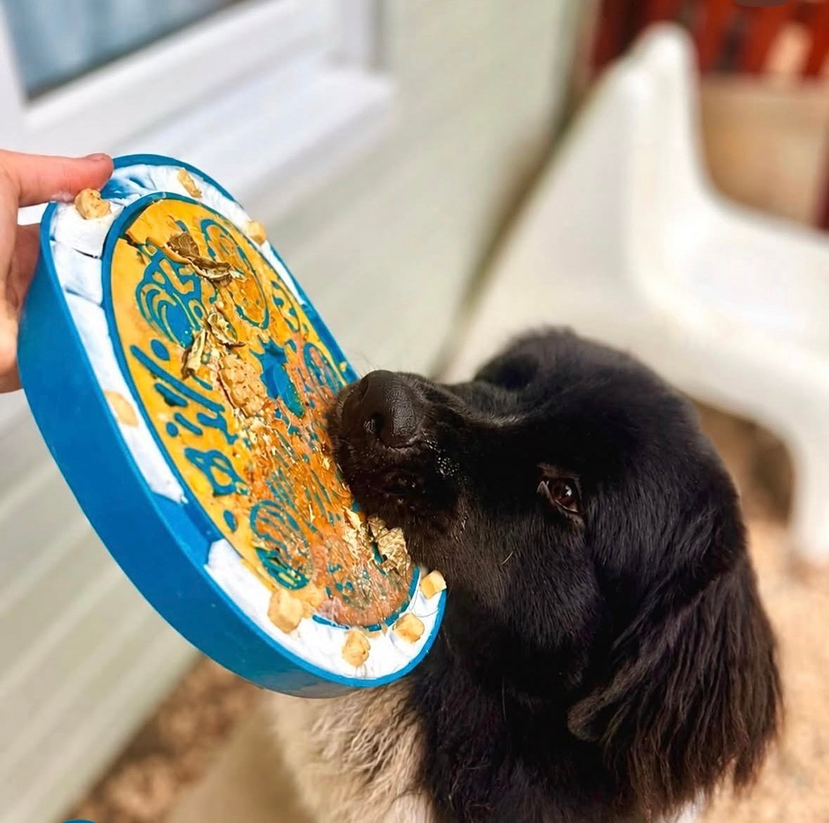 MARS 2-IN-1 SLOW FEEDER & LICK MAT
