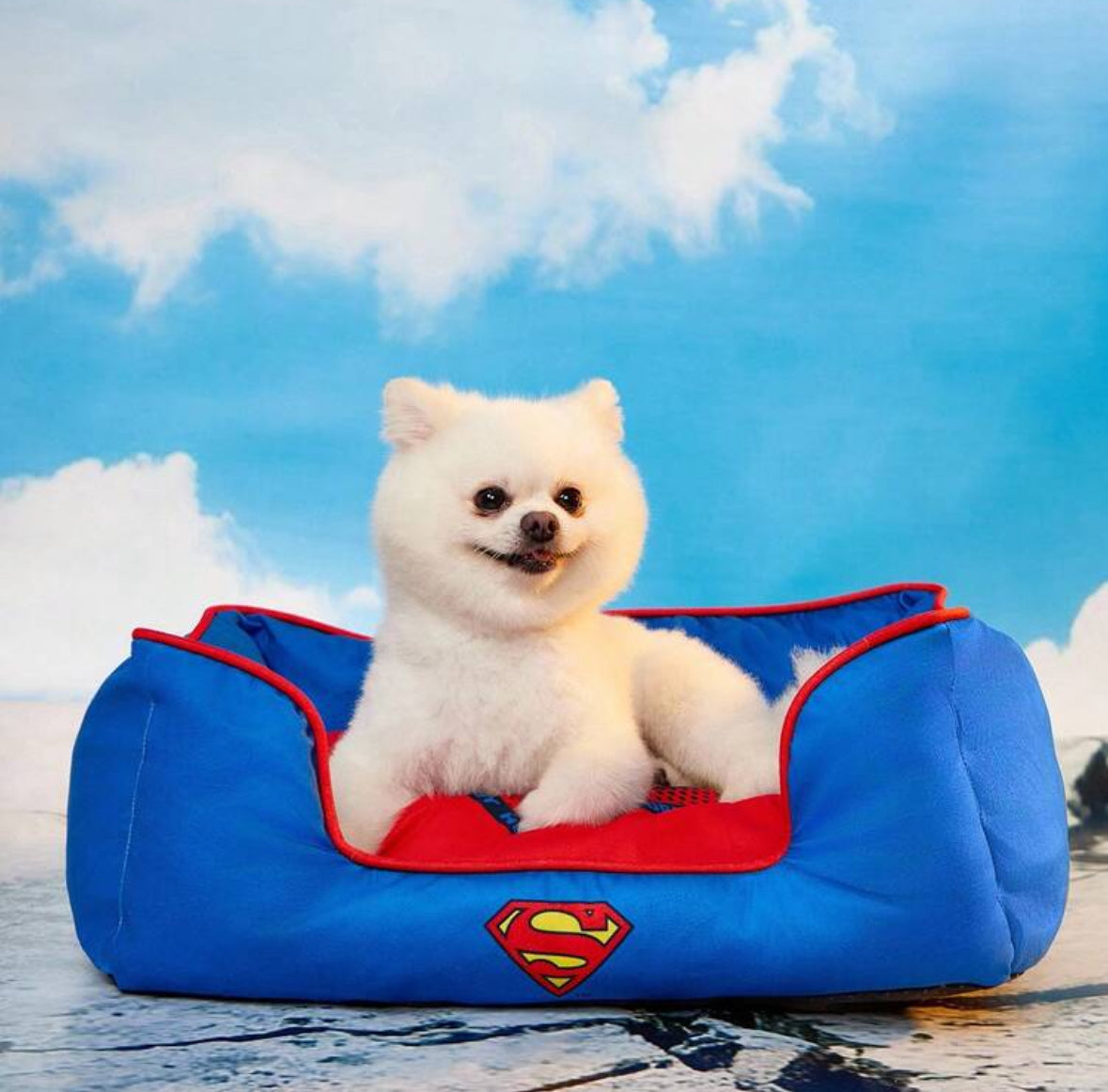 Superman™ Dog Bed – Large